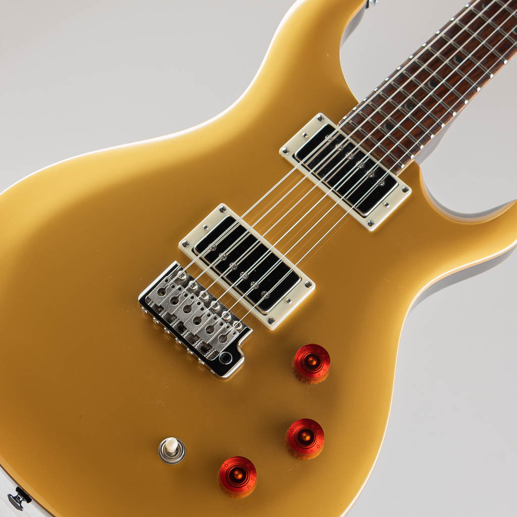 Paul Reed Smith(PRS) SE DGT / Gold Top Moon Inlays【2024】（新品