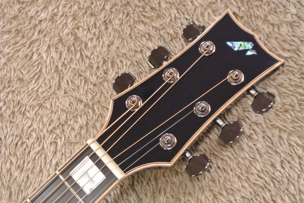 King Gnu常田大希さん使用タイプギター モーリスF-20