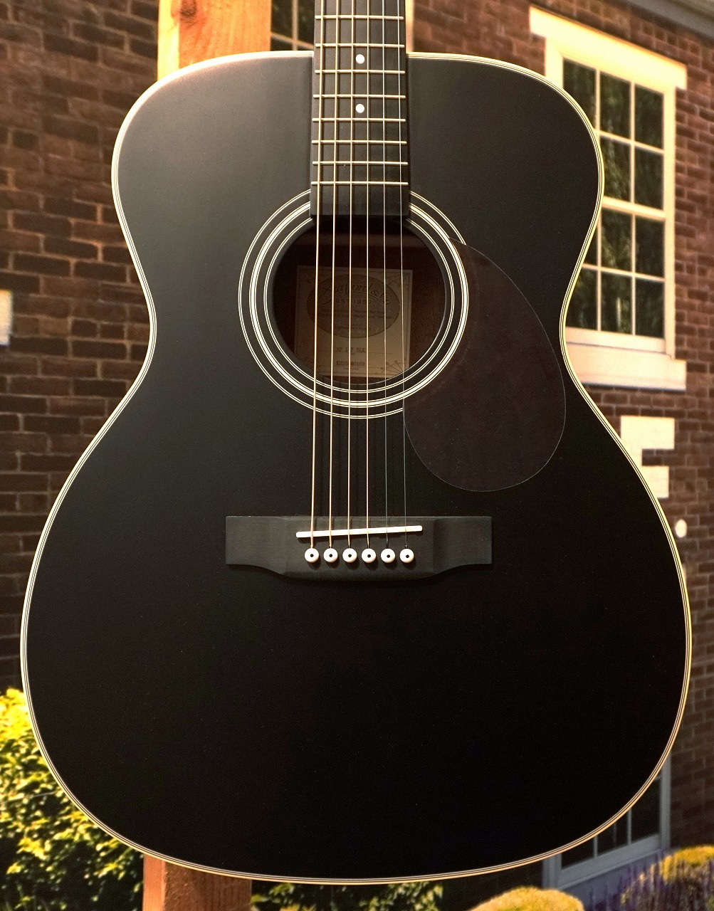 Stafford SF-3F/BS エレアコ Stafford SF-3F | クロサワ楽器店