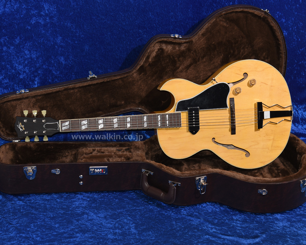 Archtop Tribute AT105 Classic（新品）【楽器検索デジマート】