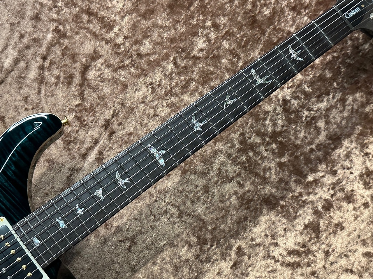 Paul Reed Smith(PRS) Wood Library Custom 24 -Teal Black(Stained