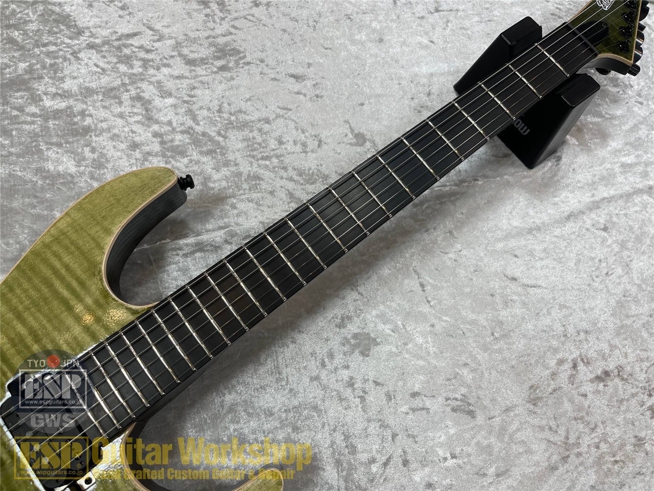 EDWARDS E-M-II CTM【Forest Green】（新品/送料無料）【楽器検索