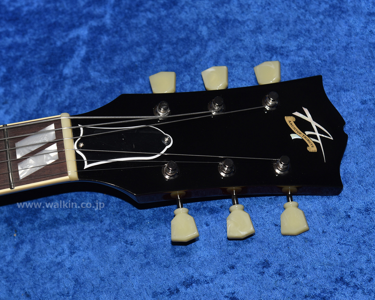 Archtop Tribute AT105M（新品）【楽器検索デジマート】