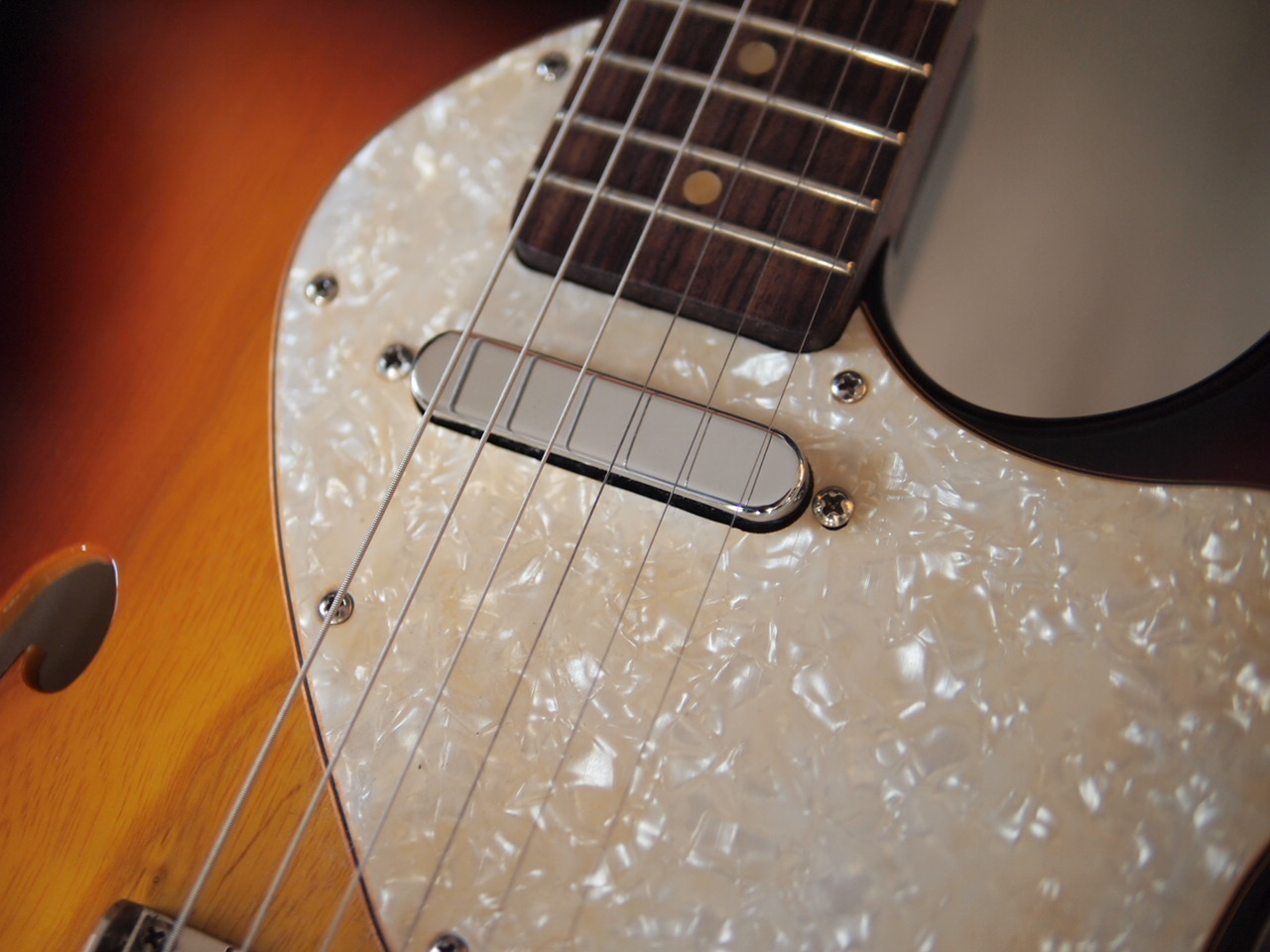 ギター Fender Warmoth Telecaster Thinline WARMOTH Custom Rosewood Neck Thinline Telecaster（中古/送料