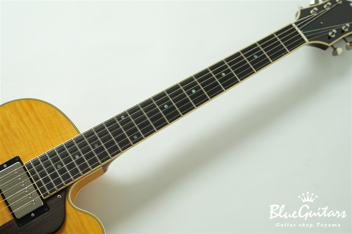 Rozeo Ladybug-CB CM HB/SS - Vintage Amber（中古/送料無料）【楽器