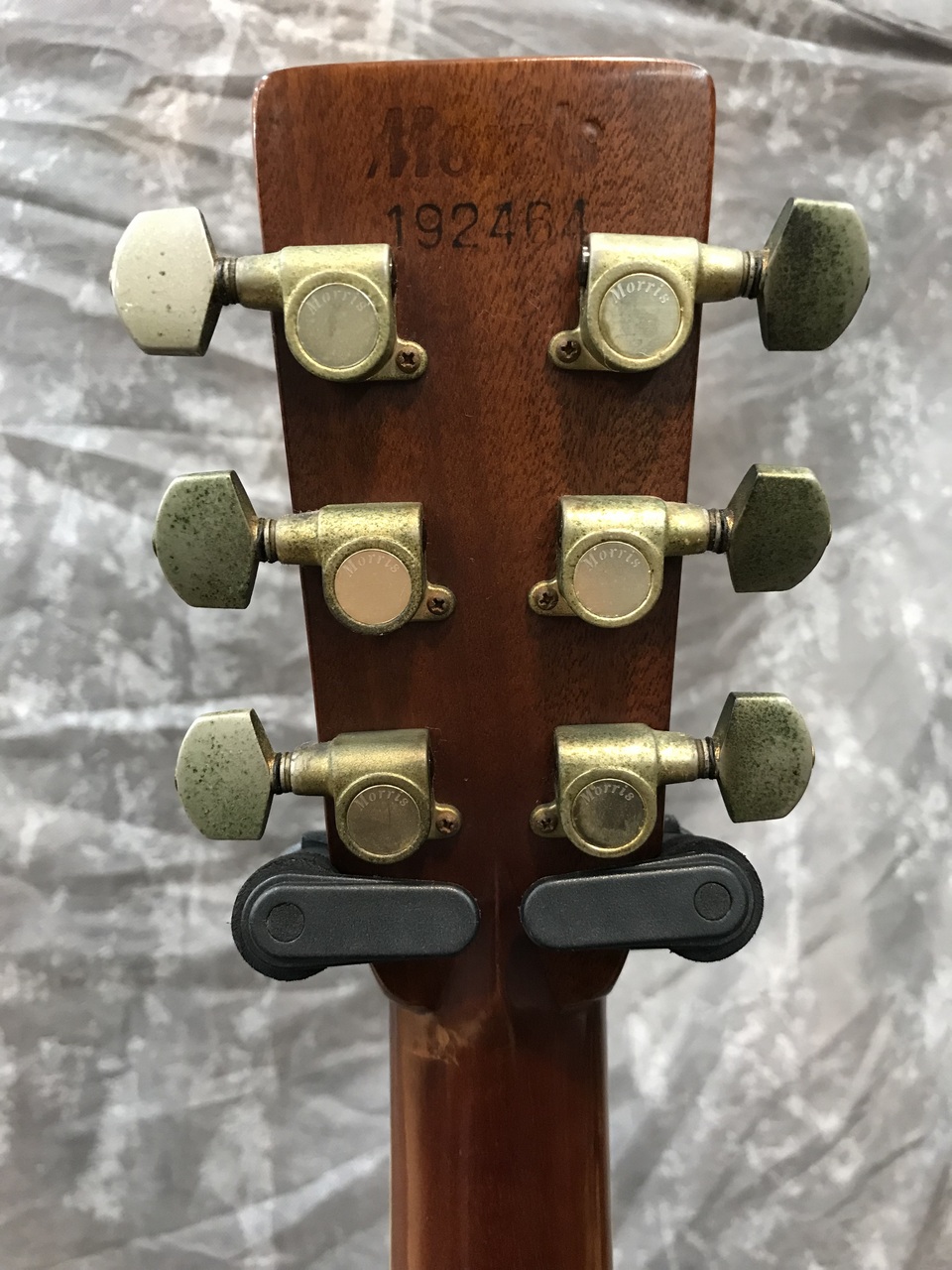 Morris TF-801（中古）【楽器検索デジマート】