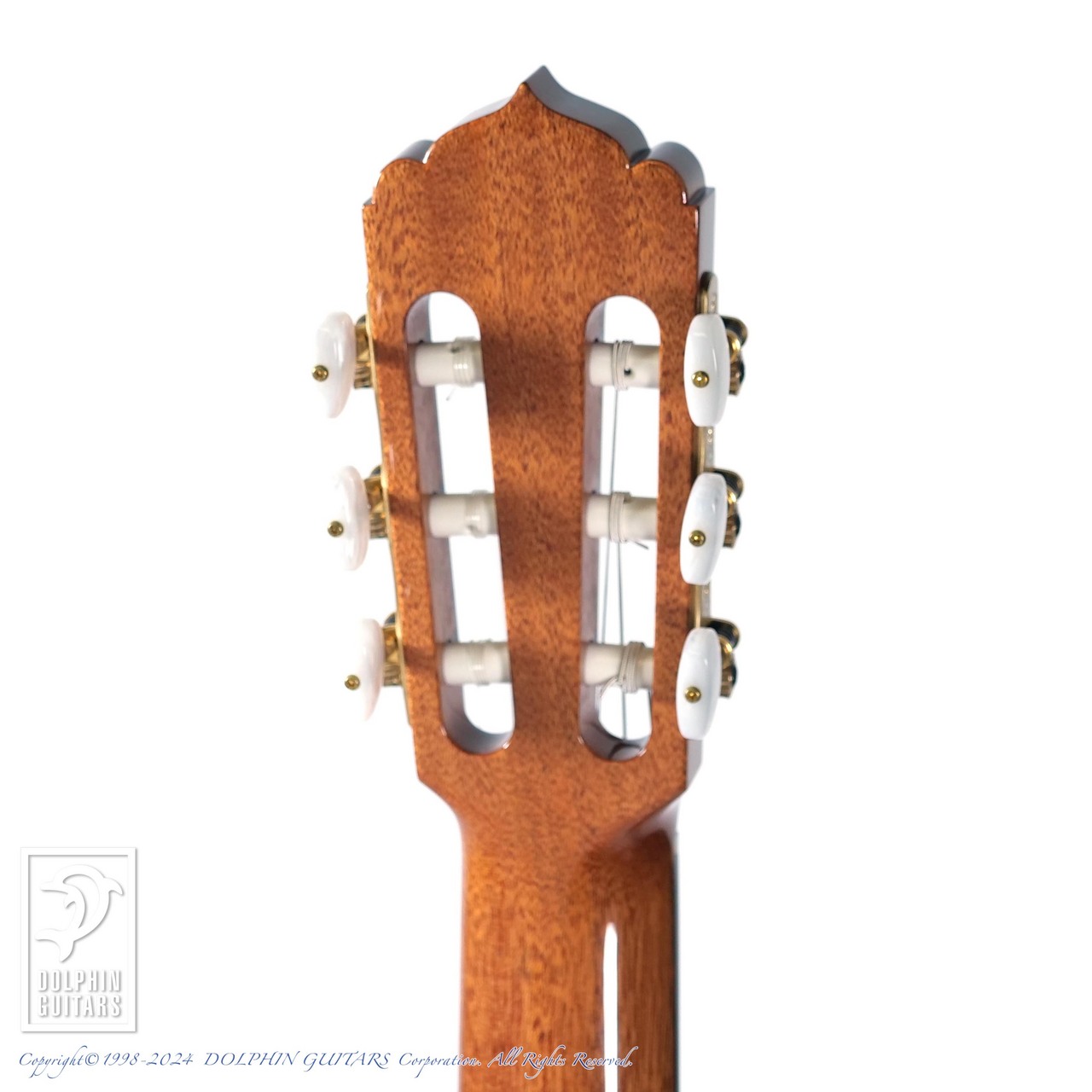 ASTURIAS Solo Classico Premio/S（新品）【楽器検索デジマート】