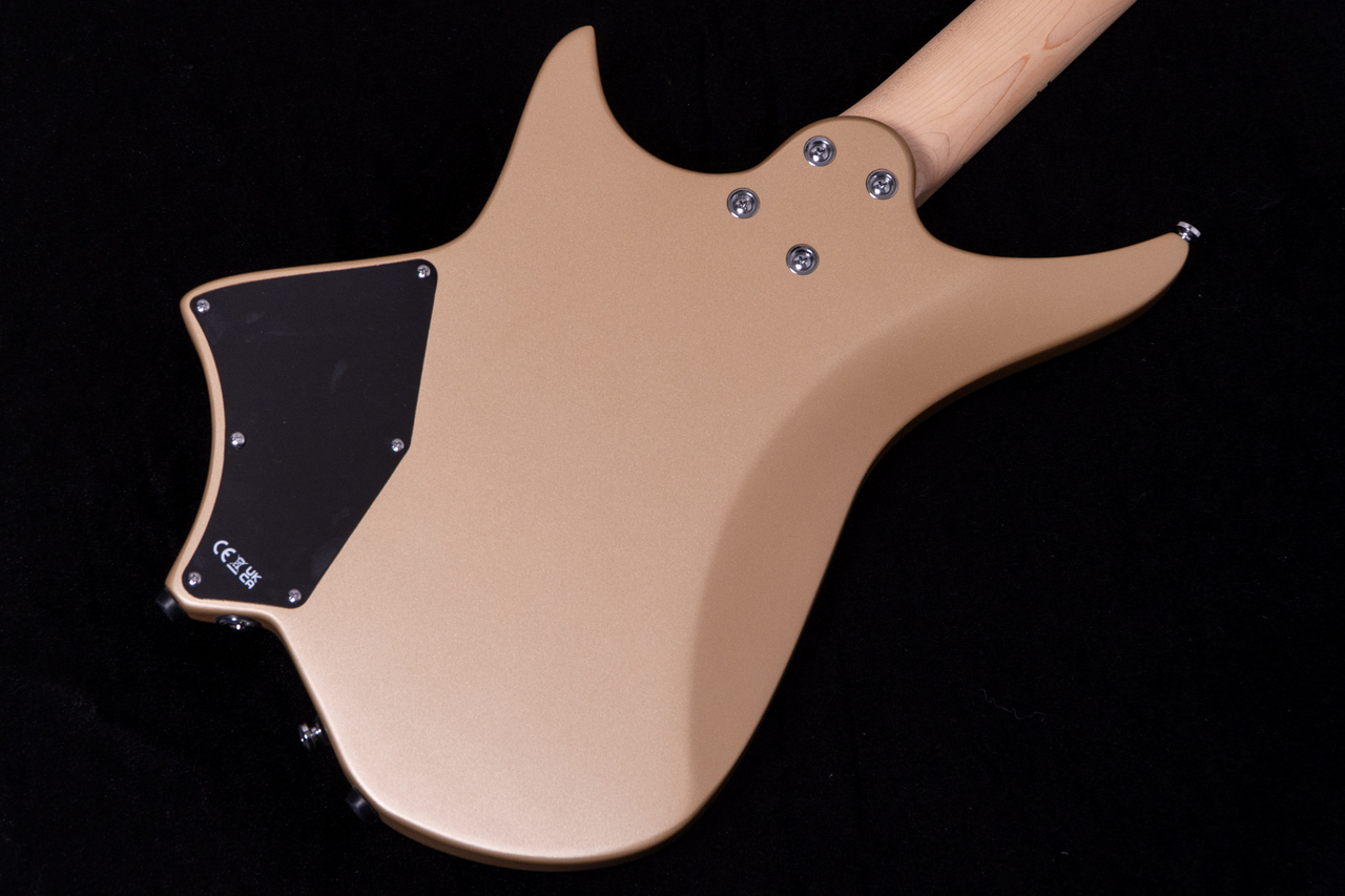 HEX Guitars NS100M S/SS（新品/送料無料）【楽器検索デジマート】