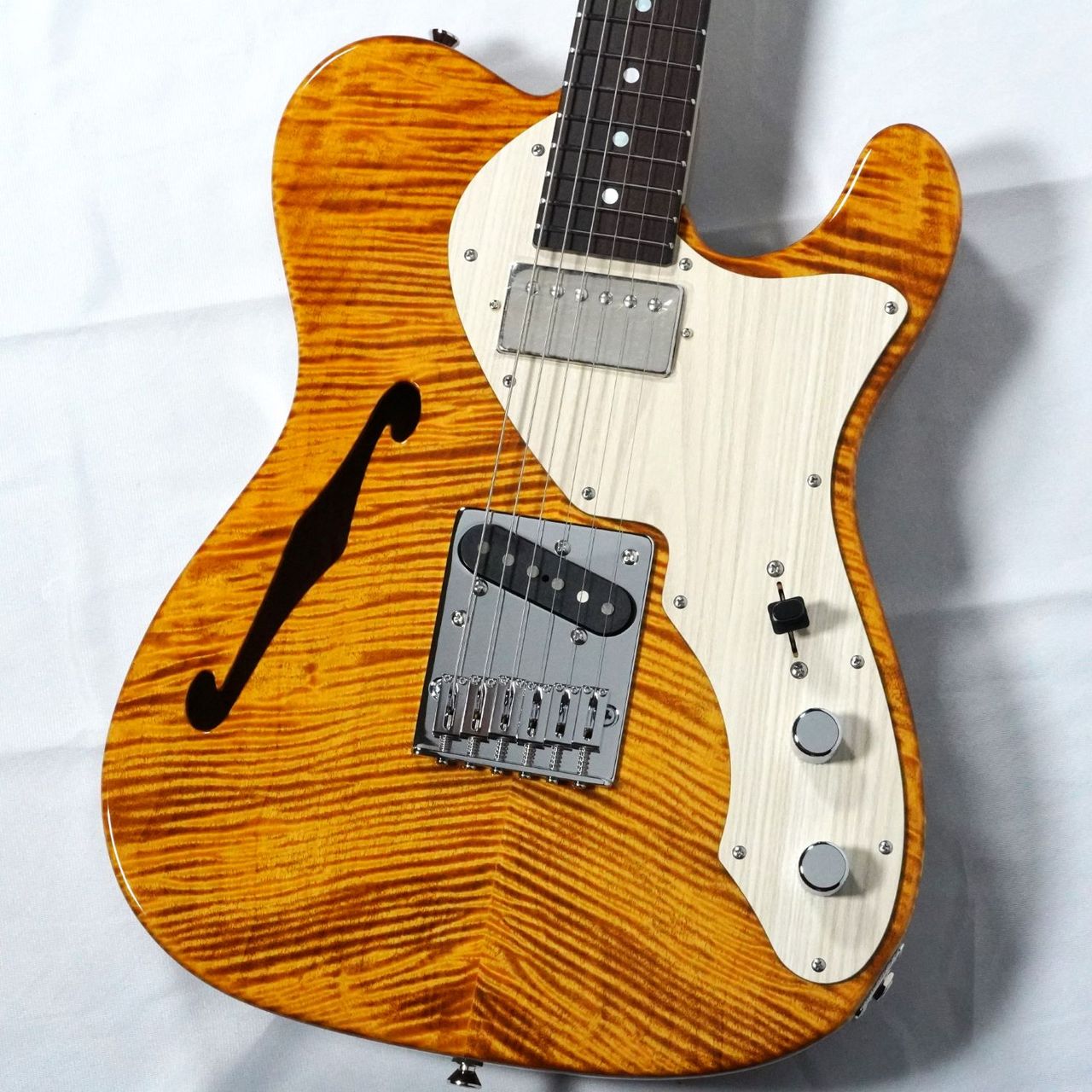 FREEDOM CUSTOM GUITAR RESEARCH O.S.Retro TE-TL HollowⅡ FT