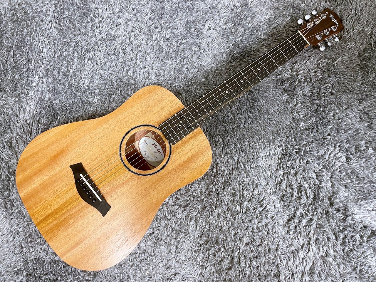 Taylor Baby Taylor Mahogany BT2【ミニギター】（新品/送料無料