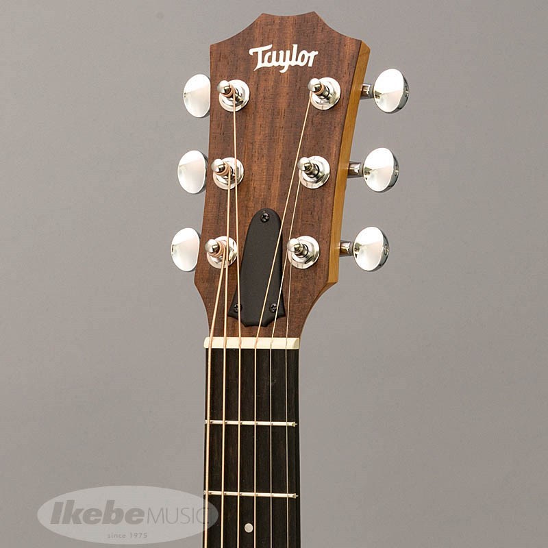 Taylor GS Mini Mahogany 【数量限定特価】（新品特価）【楽器検索