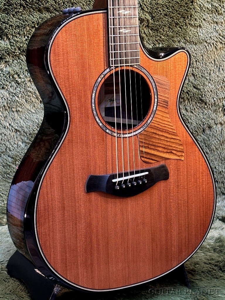 Taylor 【Taylor 選定品‼】50th Anniversary Builders Edition 812ce LTD  #1207224067【48回迄金利0%対象】（新品/送料無料）【楽器検索デジマート】