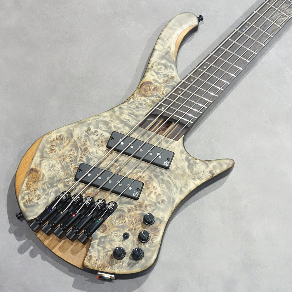 Ibanez EHB Workshop EHB1505MS-BIF（新品特価/送料無料）【楽器