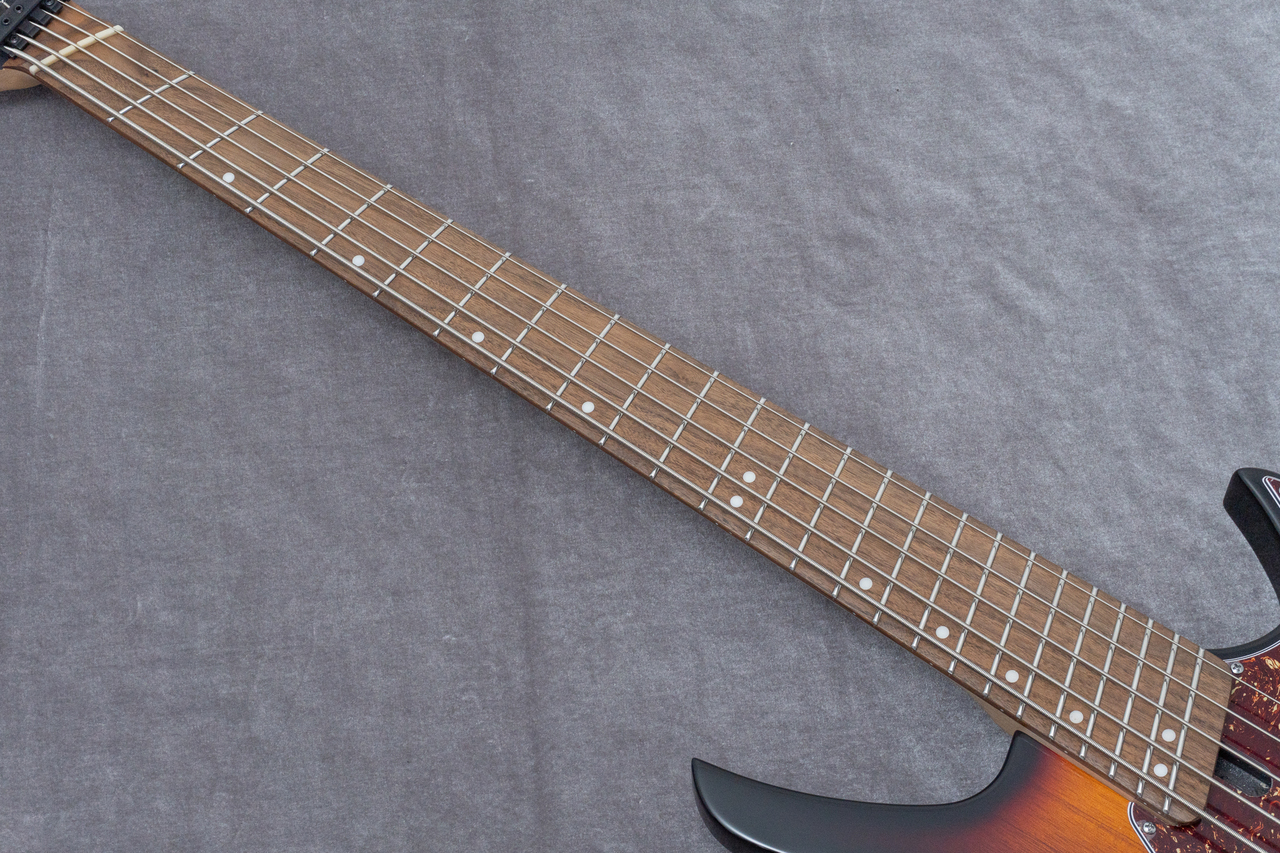 HEX Guitars / NB505 かなり美品 HEX Guitars / NB505 かなり美品