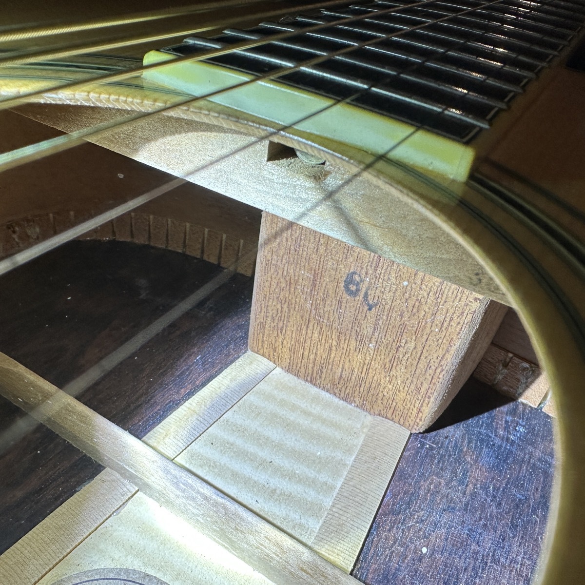 Morris W-60 TF Acoustic Guitar Made in Japan（中古/送料無料