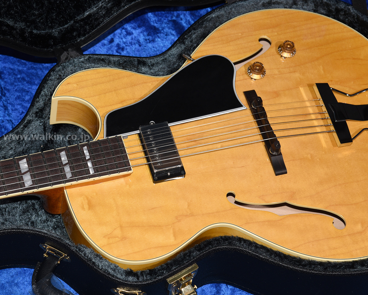 4月購入美品！175タイプ　Archtop Tribute AT105 ケース付 Archtop Tribute AT105 Classic 買取りました。デジマートにて