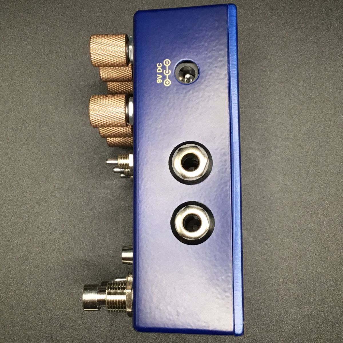 Chase Bliss Audio THERMAE【現物写真】（新品/送料無料）【楽器検索