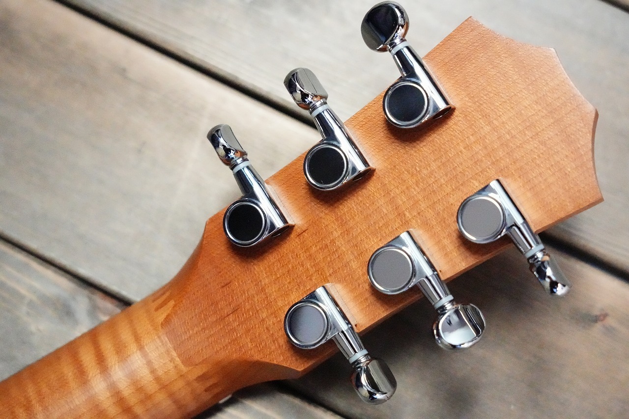 Taylor Baby Mahogany BT2e エレアコ ミニアコースティックギター