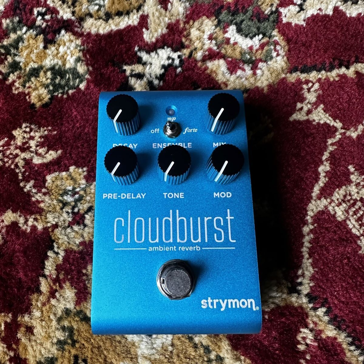 週間売れ筋-strymon cloudburst アンビエント・リバーブ：愛曲楽器