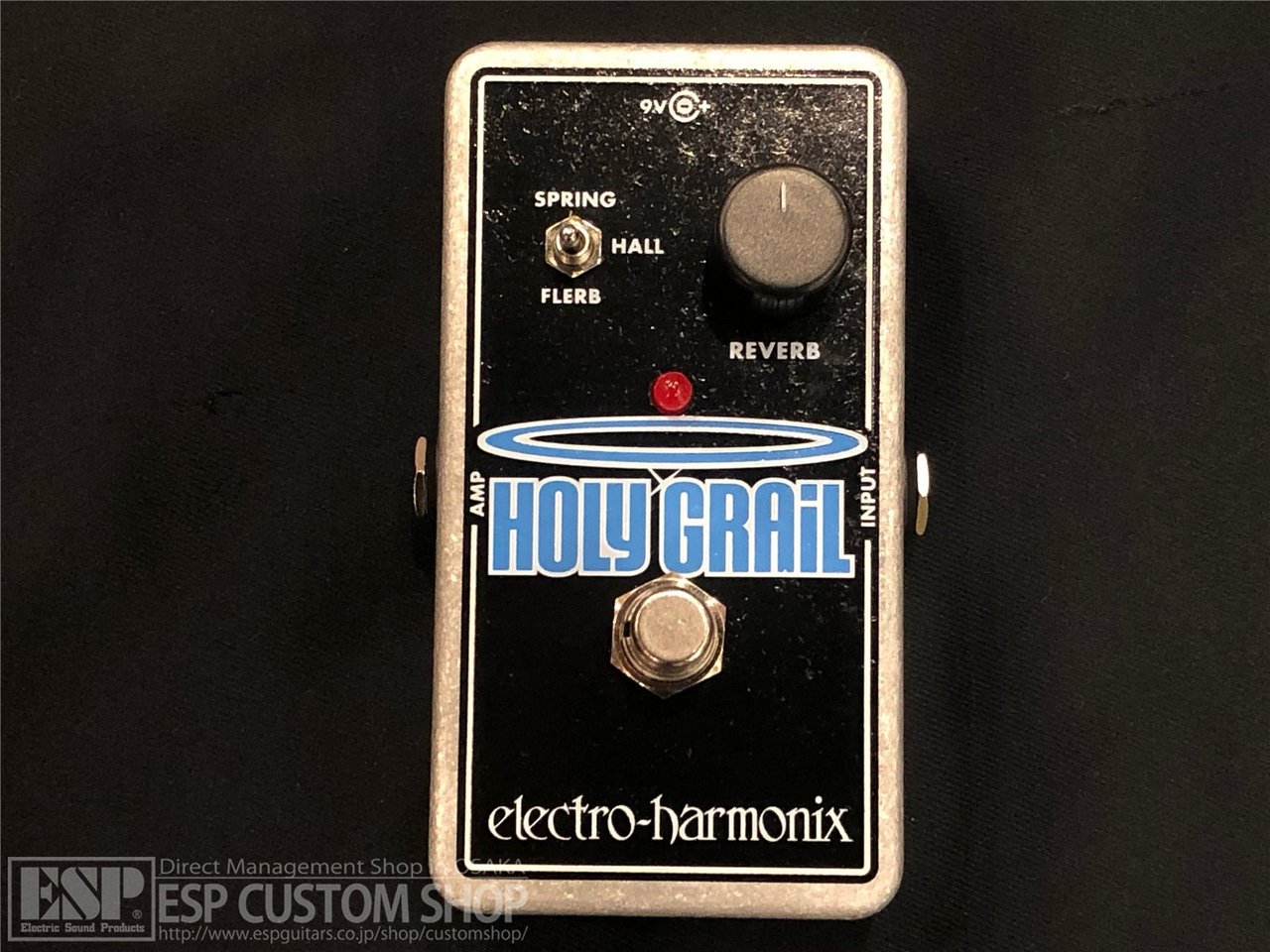 Electro-Harmonix Holy Grail （新品）【楽器検索デジマート】