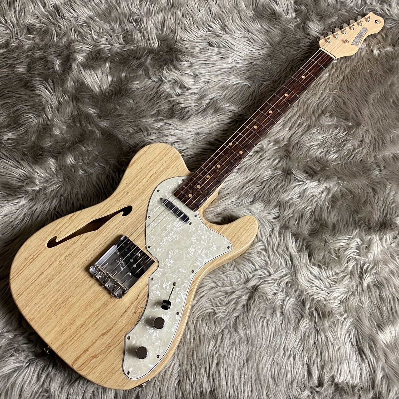 FREEDOM CUSTOM GUITAR RESEARCH C.S. Retro Series TE-TL HollowⅠ
