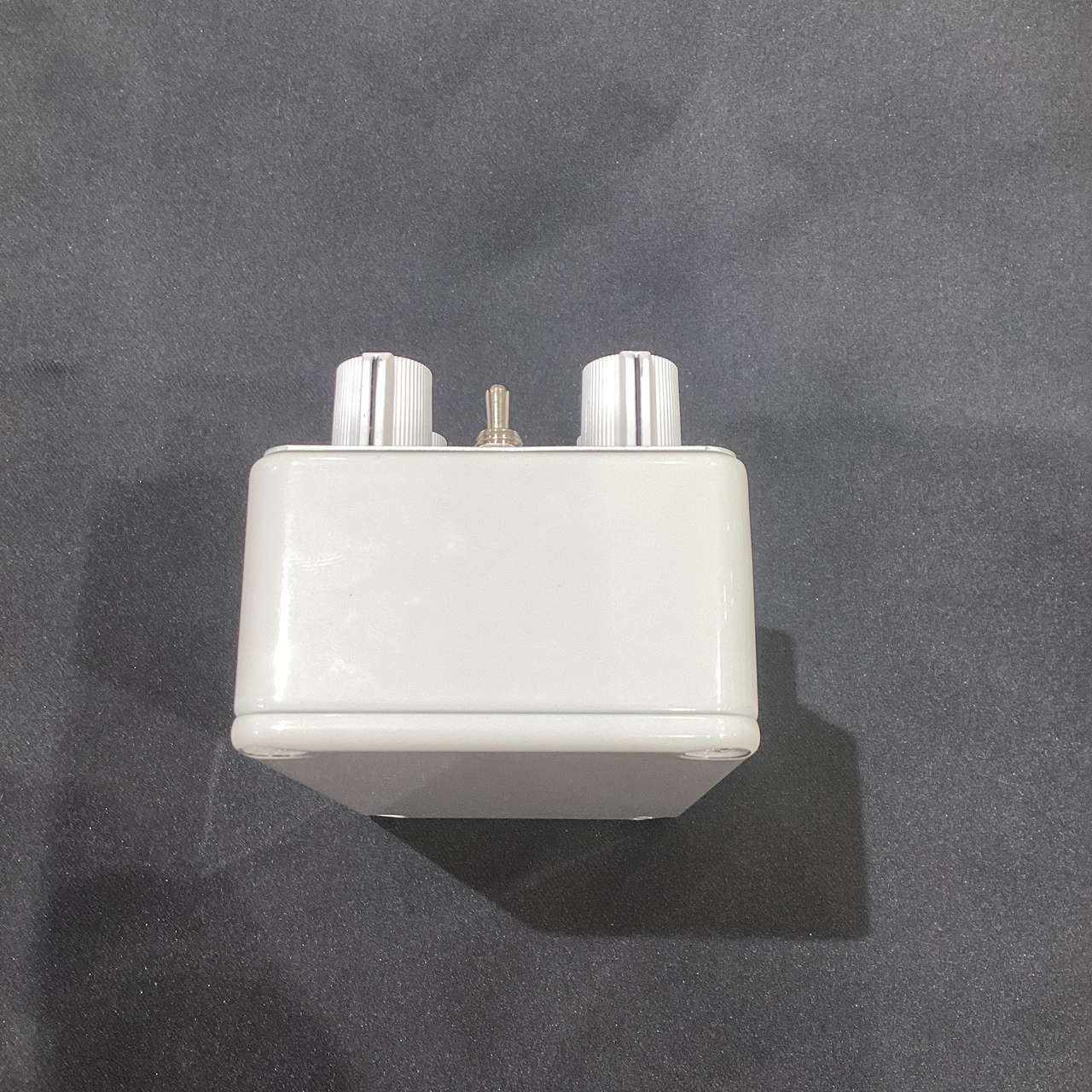 Limetone Audio (ライムトーンオーディオ)buddy ディレイ（新品