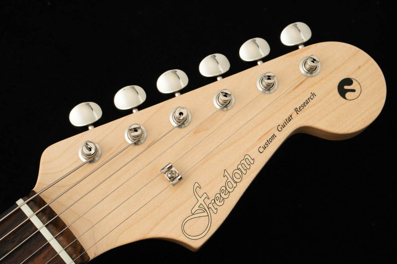 FREEDOM CUSTOM GUITAR RESEARCH Custom Order RS ST SSH Alder -Lake