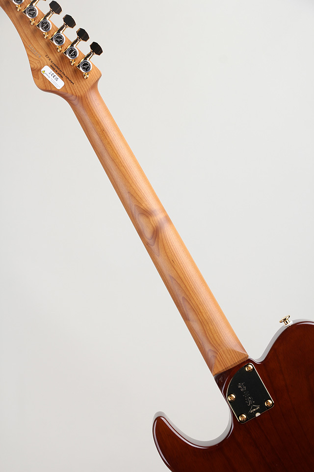 FUJIGEN(FGN) Expert ILIAD EIL-EW1-HS-RM Hojicha Burst【S/N E250378