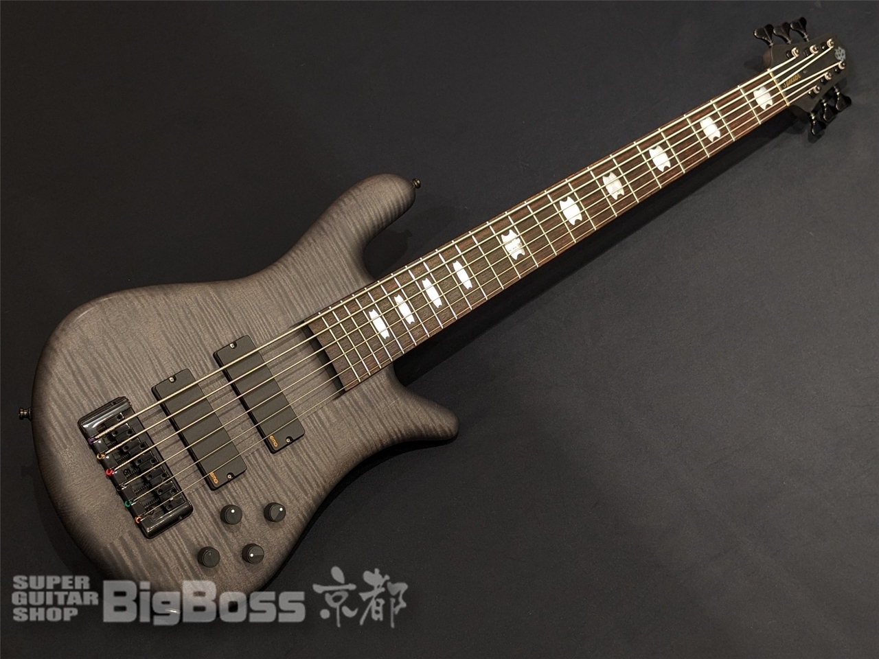 Spector Euro6 LX Premium Wood / Black Stain Matte（中古/送料無料 ...