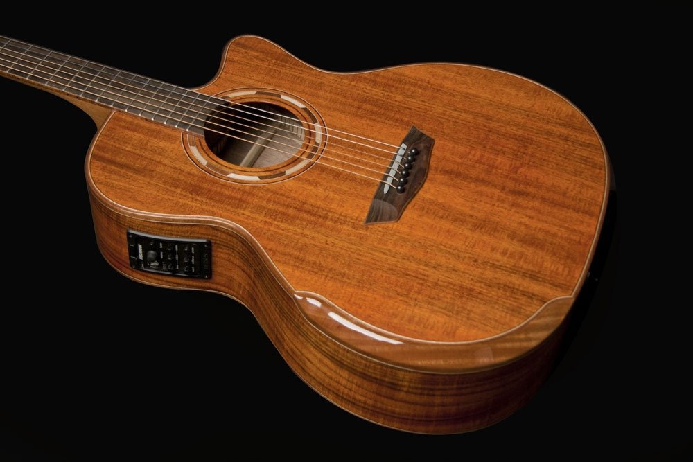 Washburn Comfort Series G55ce Koa Natural ワッシュバーン 【池袋店