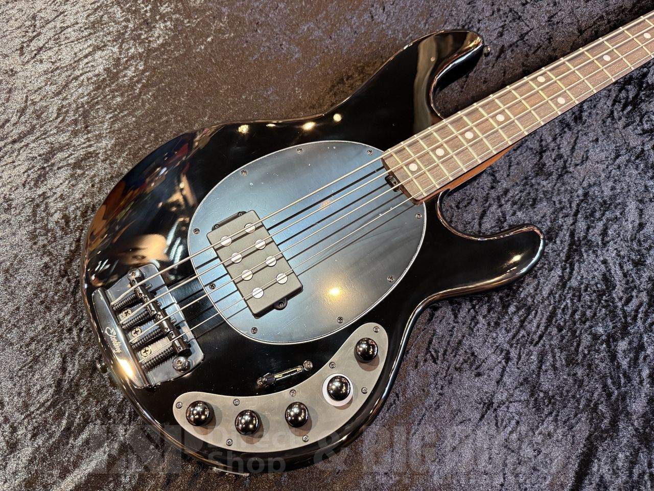 Sterling by MUSIC MAN DarkRay 【Black】