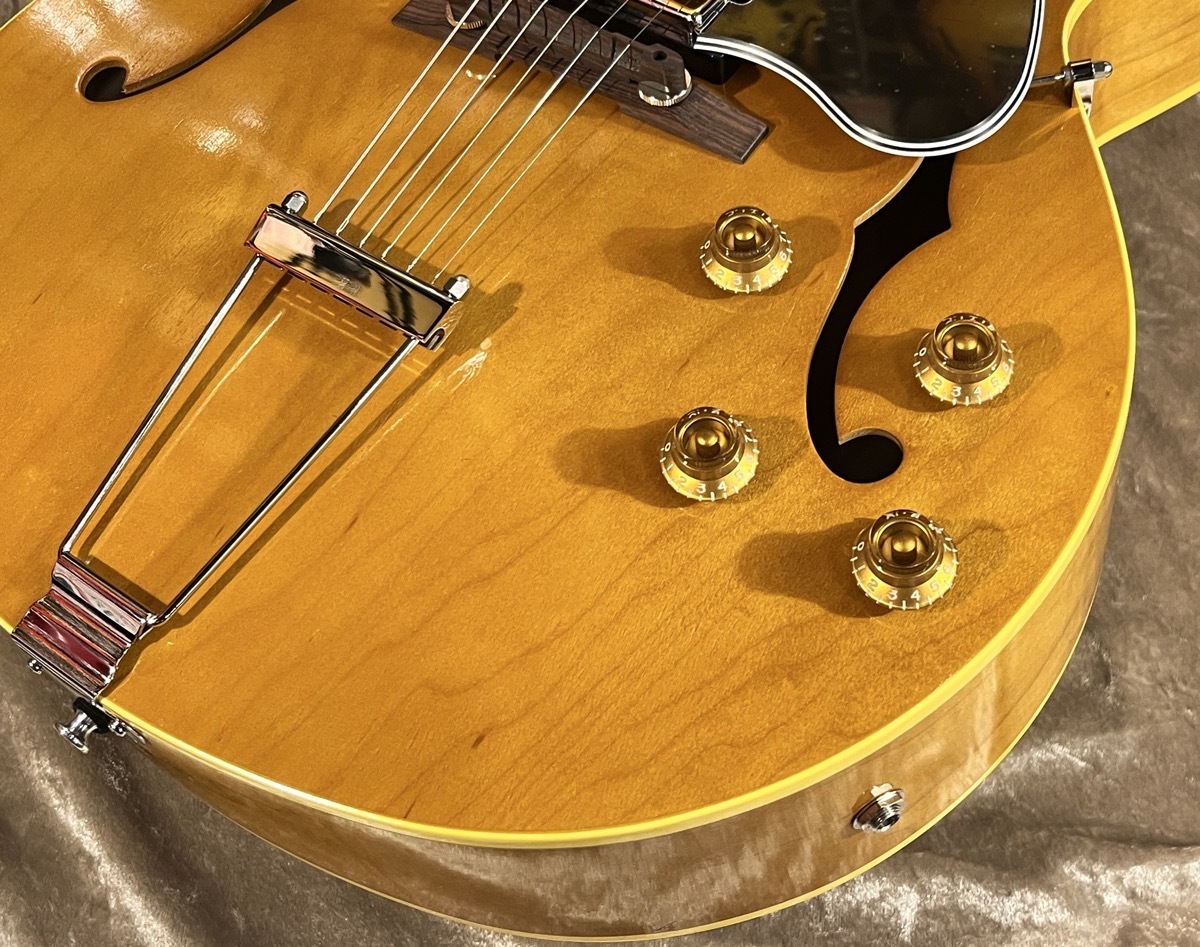 KING SNAKE Curtis H Deep Body Amber Natural CHD-022 [2.65kg