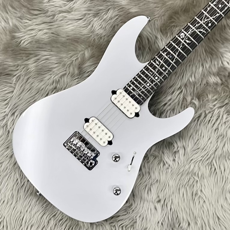 Ibanez TOD10【ティム・ヘンソンシグネイチャーモデル】