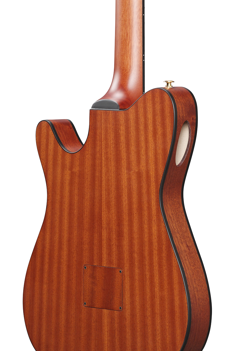 Ibanez FRH10N IBF エレガットギター 限定生産モデル（新品/送料