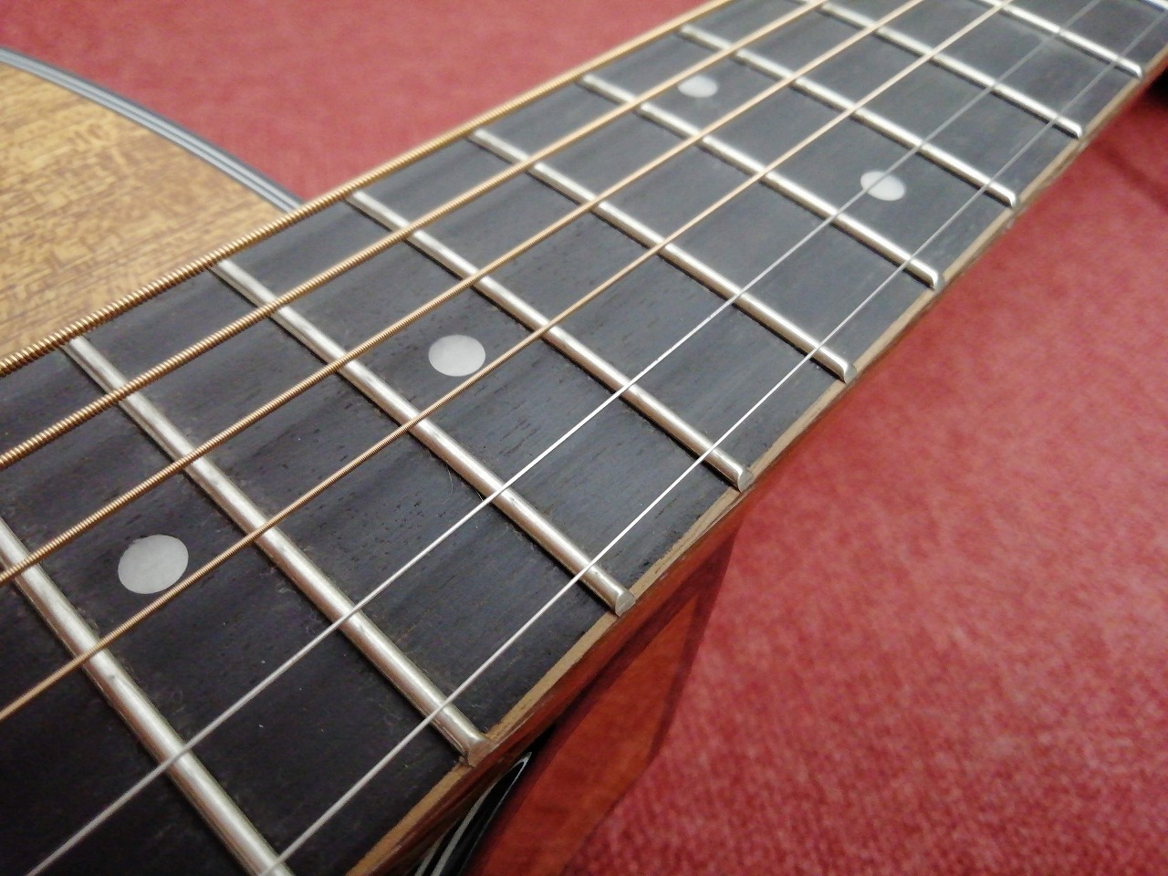 KALA KA-GTR-MTS-E（新品/送料無料）［デジマートSALE］【楽器検索