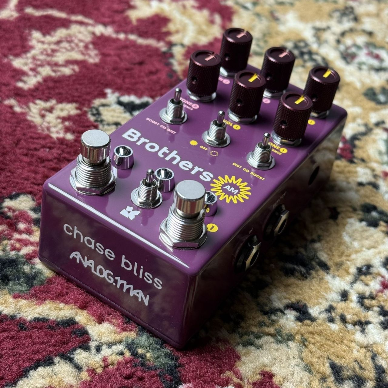 Chase Bliss Audio Brothers AM 【Chase Bliss×Analog Man】（新品