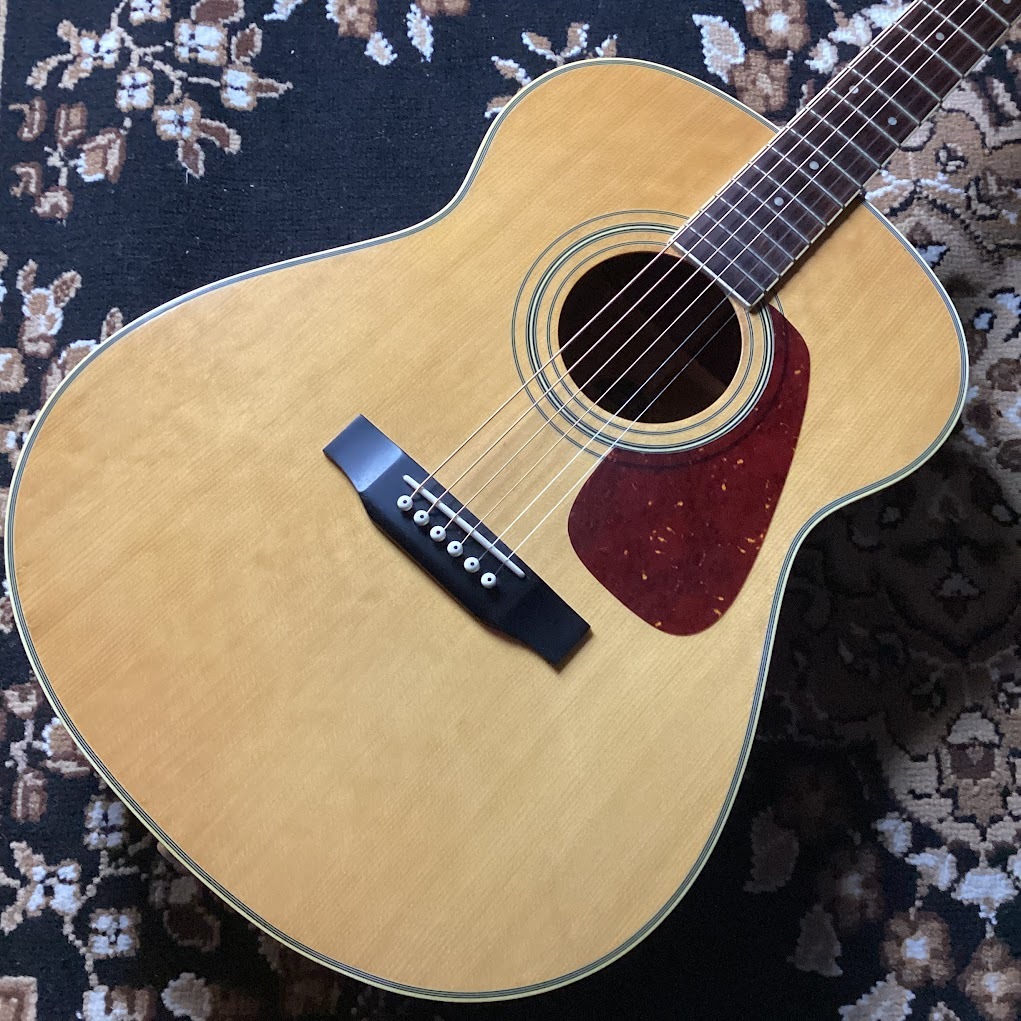 MORRIS/アコースティックギター/MF-251N