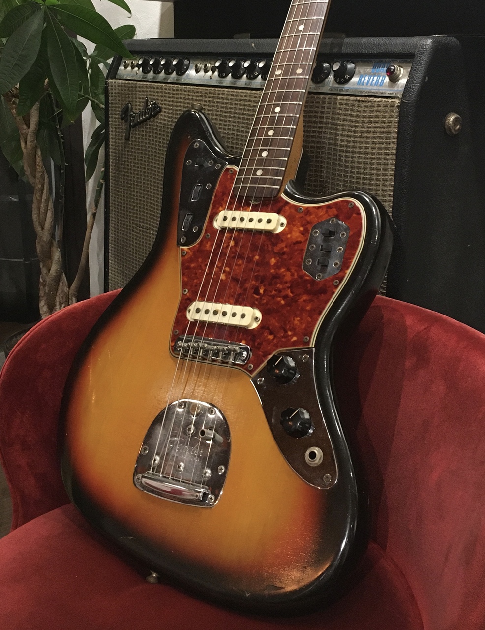 Fender Jaguar 1965年製（ビンテージ）【楽器検索デジマート】