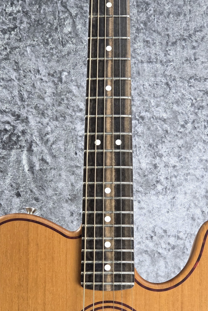 Fender American Acoustasonic Telecaster All Mahogany