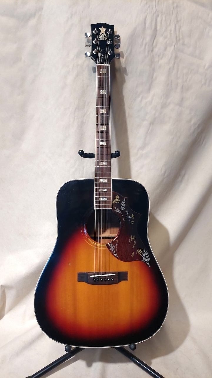 メーカー直売 - 人気ランキング CANDA 202（中古）【楽器検索デジマート】 ギター