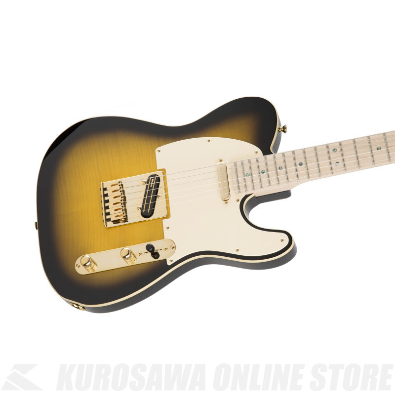 Fender Richie Kotzen Telecaster, Maple Fingerboard, Brown Sunburst 