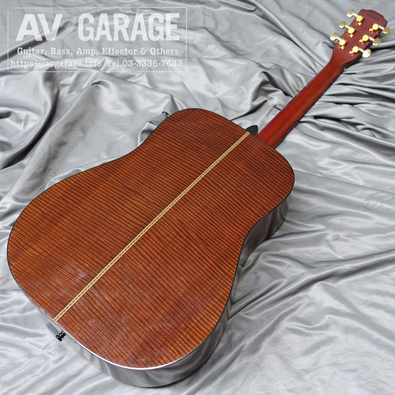 モーリス　アコースティックギター M60T NAT モーリス アコースティックギター M60T NAT MORRIS】モーリス