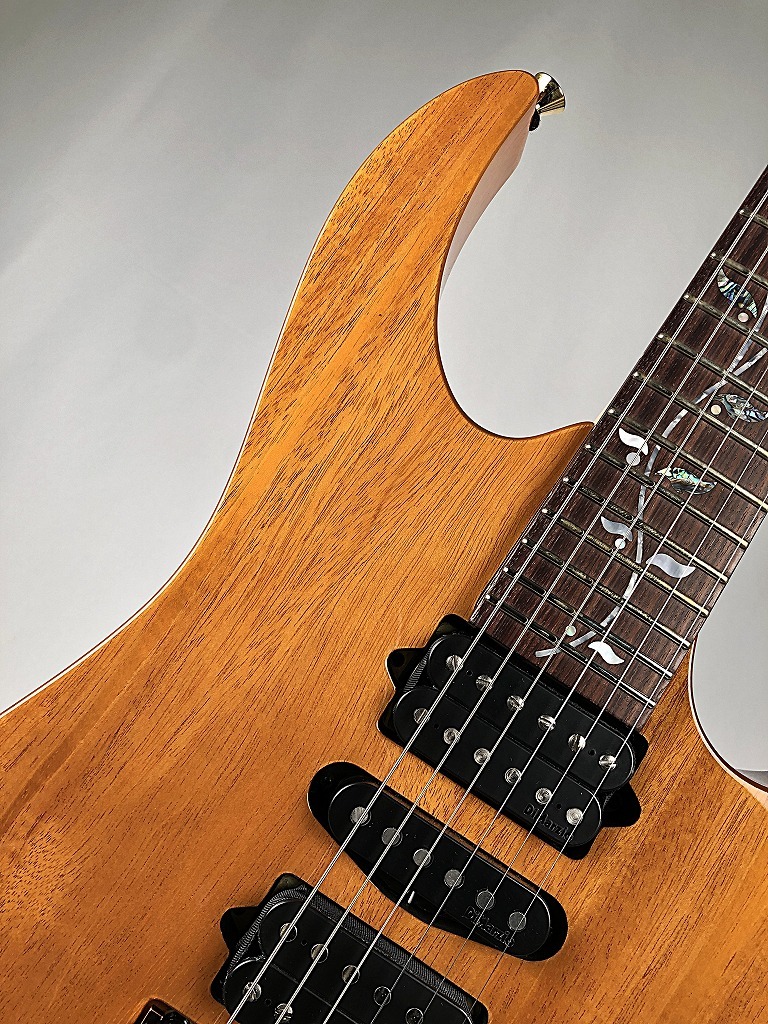 Ibanez 【日本製】【Ibanezの最高峰モデル j.custom】RG8570MH