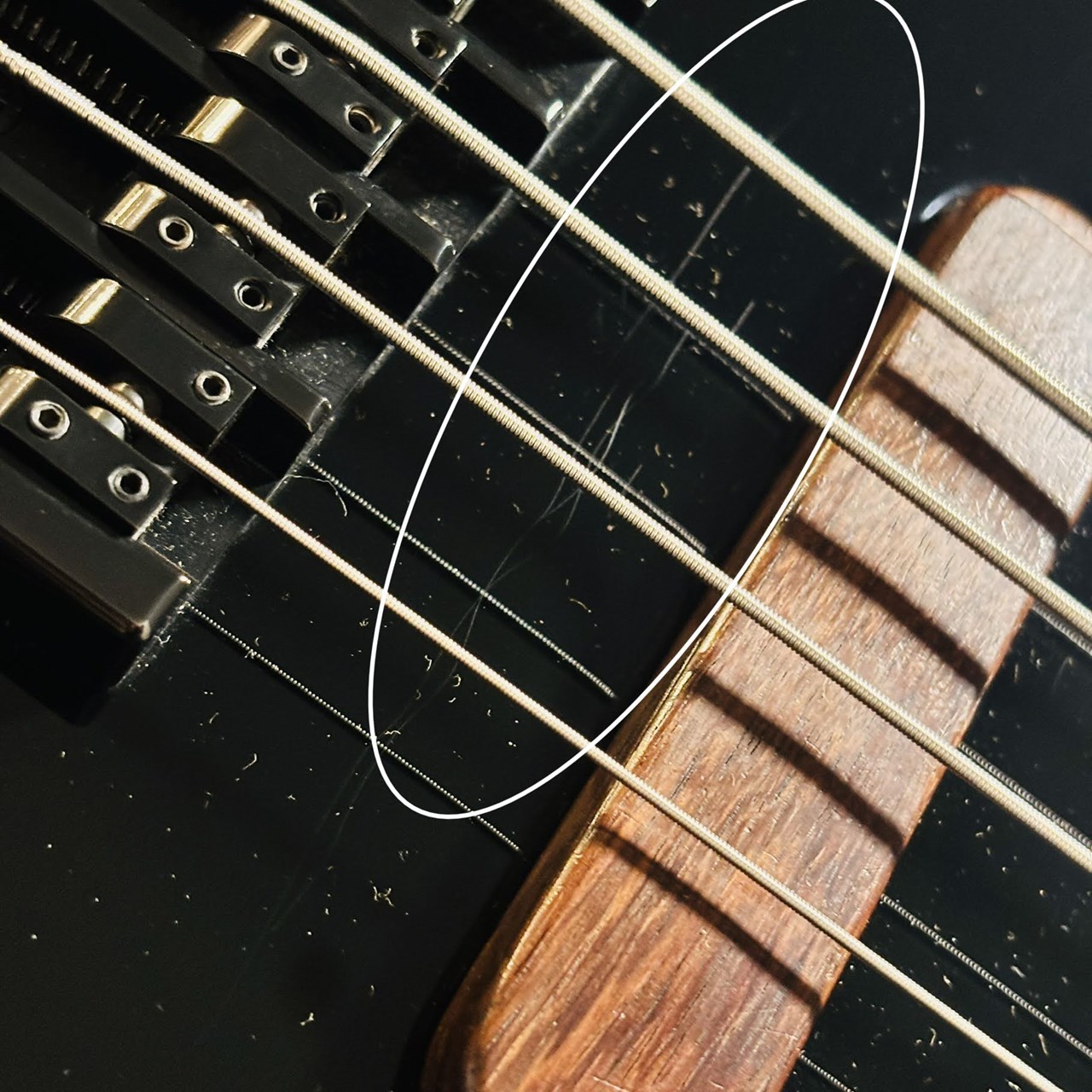 Xotic XJ-1T 4st 【≒4.25kg】（中古/送料無料）【楽器検索デジマート】