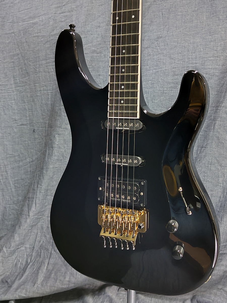 Aria Pro II RS-CUSTOM BK(Black)（B級特価）【楽器検索デジマート】