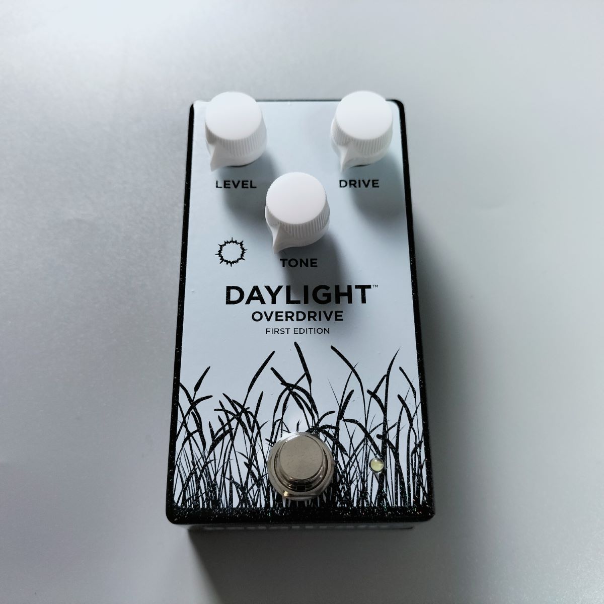 消費税無し PedalTrain Daylight Daylight First PedalTrain Edition