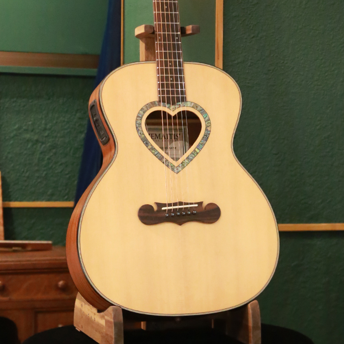 ZEMAITIS CAG-100HS-E ギター ギグバッグ付 新品未開封！！ Zemaitis