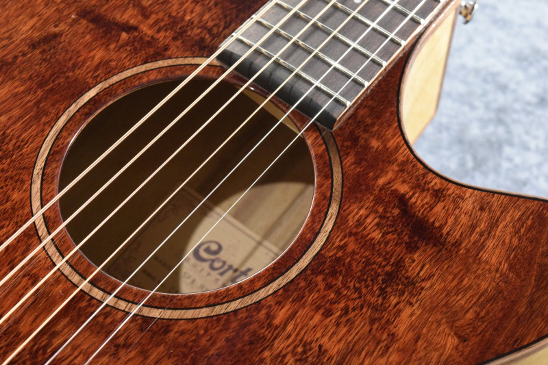 cort・SFX-E】エレアコギター販売中！