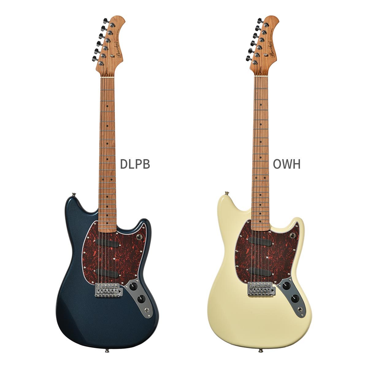 Bacchus BMS-1-RSM/M-TTPG DLPB 初心者14点セット 充電式ミニアンプ付