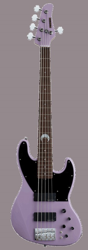 SCHECTER 【BanG Dream ! Ave Mujica コラボ】AC-EXB-5